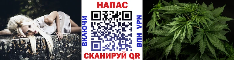 Шишки марихуана SATIVA & INDICA  Таштагол 